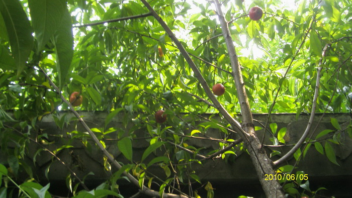 s73f5683_С.jpg