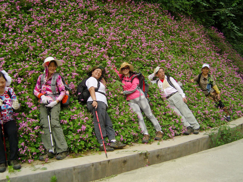  snc10053.jpg