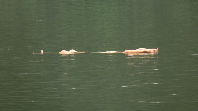 p1100677.jpg