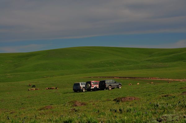 dsc_0479.jpg