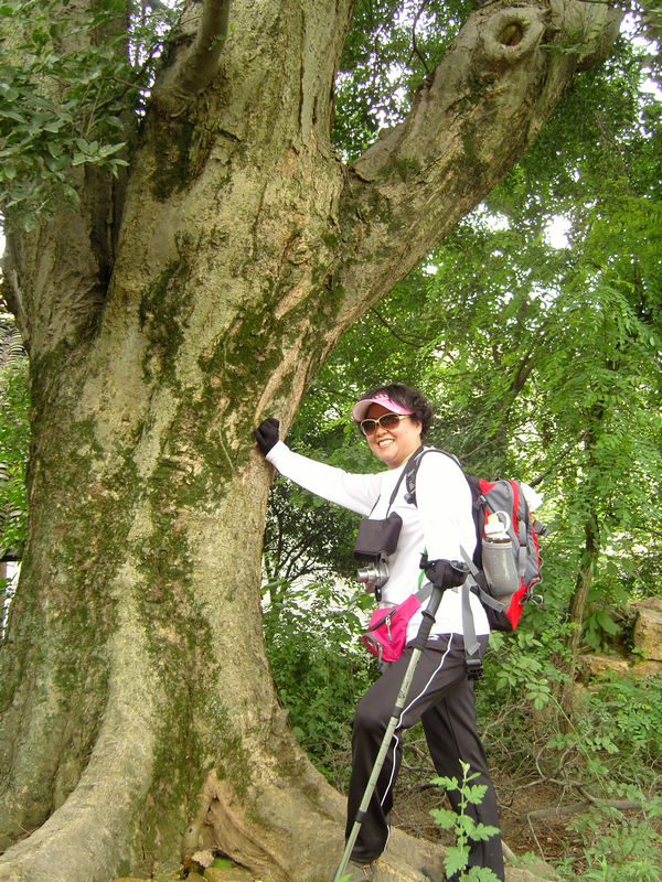  snc10046.jpg