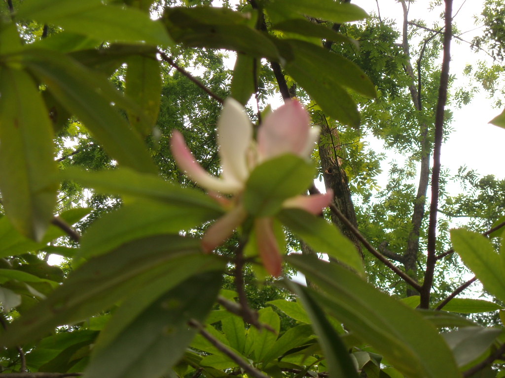 Ƭ 058.jpg