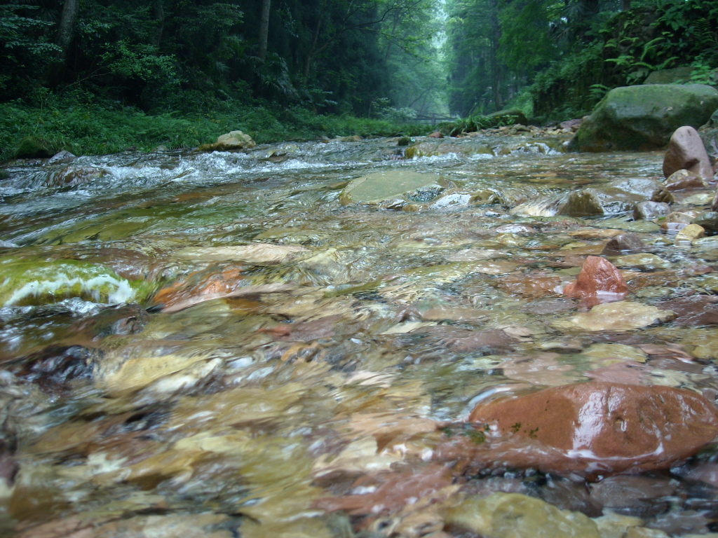 Ƭ 066.jpg