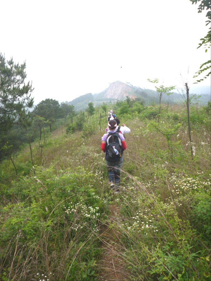 p1010096_.jpg