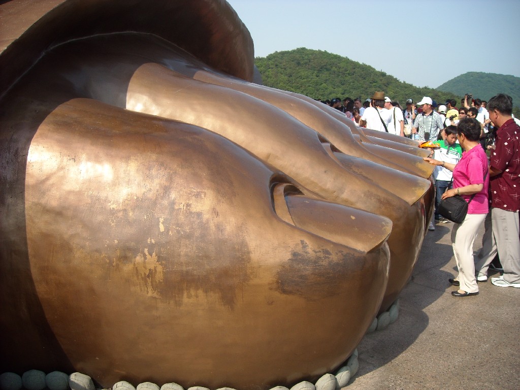 bigbull_dscn4642.jpg