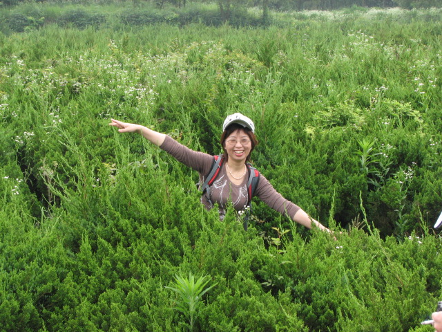 2010651855919703.jpg