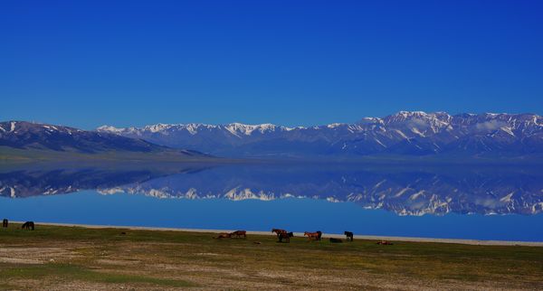 dsc_0303.jpg