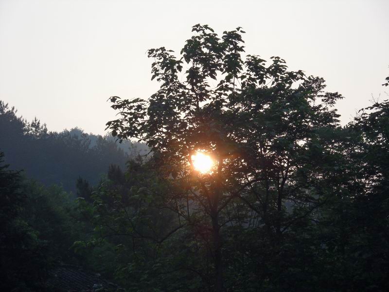 С sdc10119.jpg