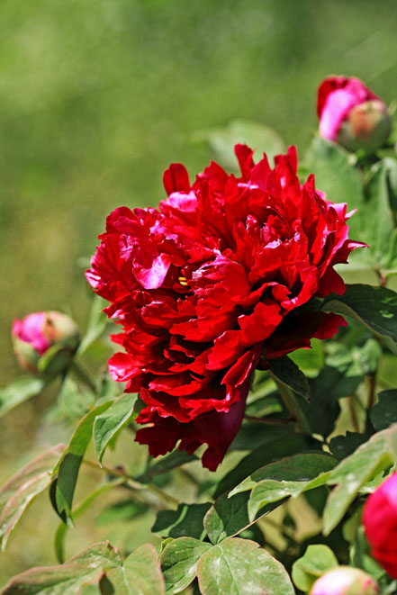 ĵ (8).jpg