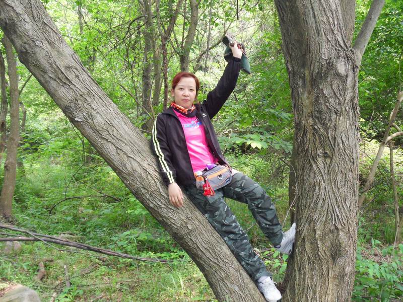С sdc10053.jpg