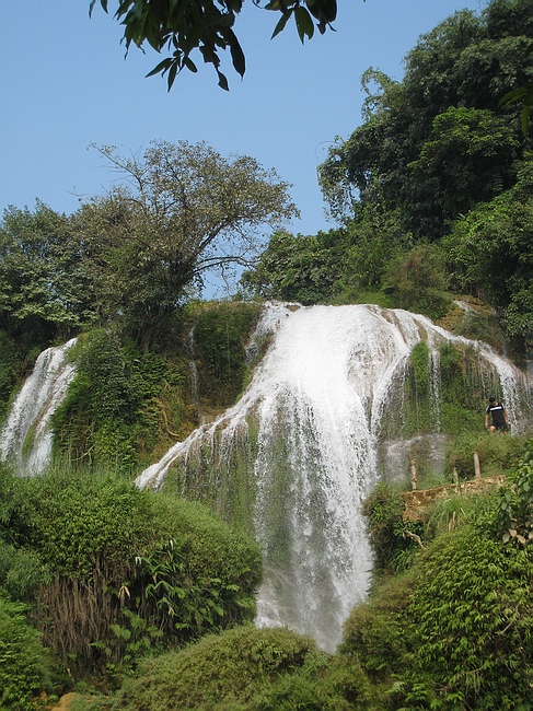 Ƭ 196.jpg