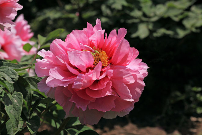 ĵ (19).jpg