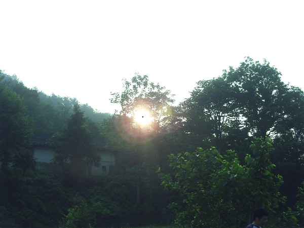 pict0040_.jpg