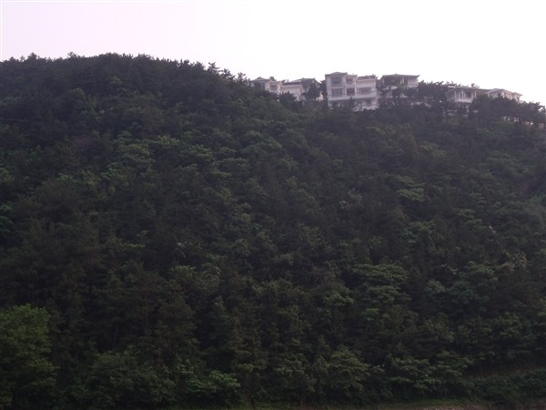 dscf3593_.jpg