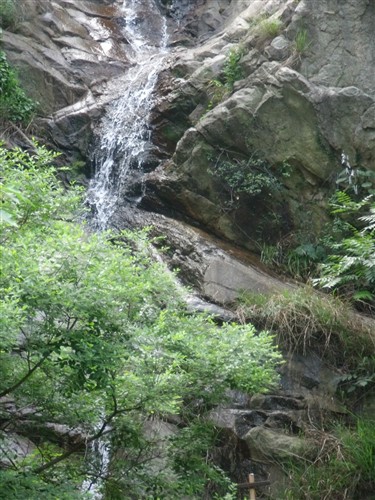 dscf3694_.jpg