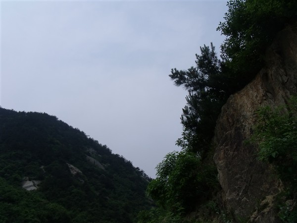 dscf3498_.jpg
