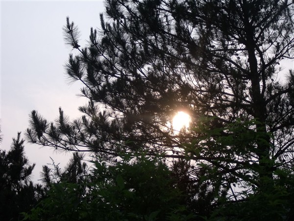 dscf3570_.jpg