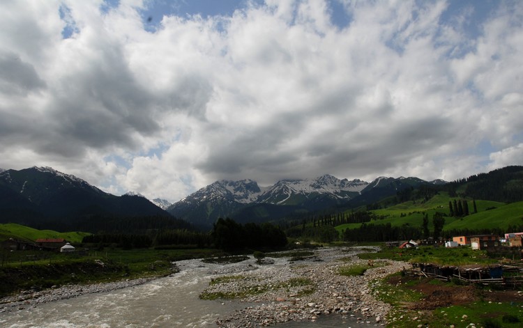 dsc_0065.jpg