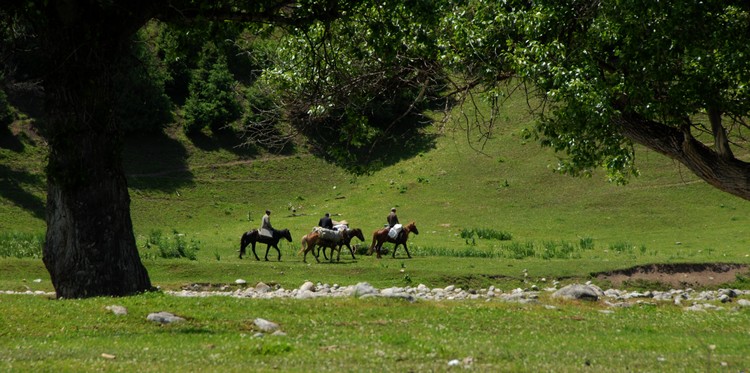 dsc_0155.jpg