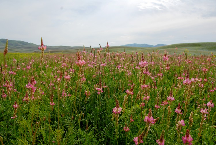 dsc_0440.jpg