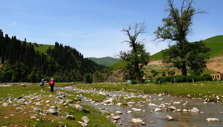 dsc_0165.jpg