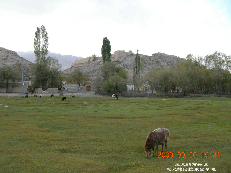 dscn4220.jpg