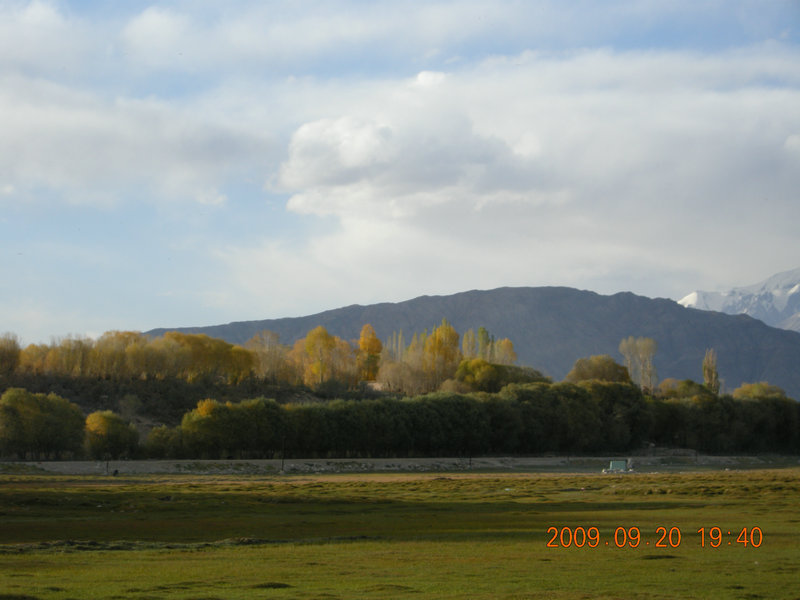 dscn4243.jpg