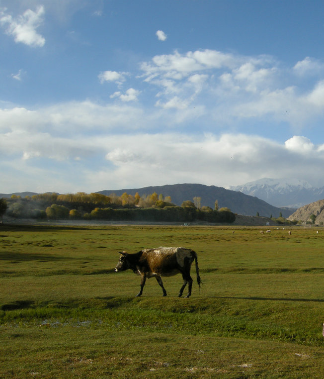 dscn4235.jpg
