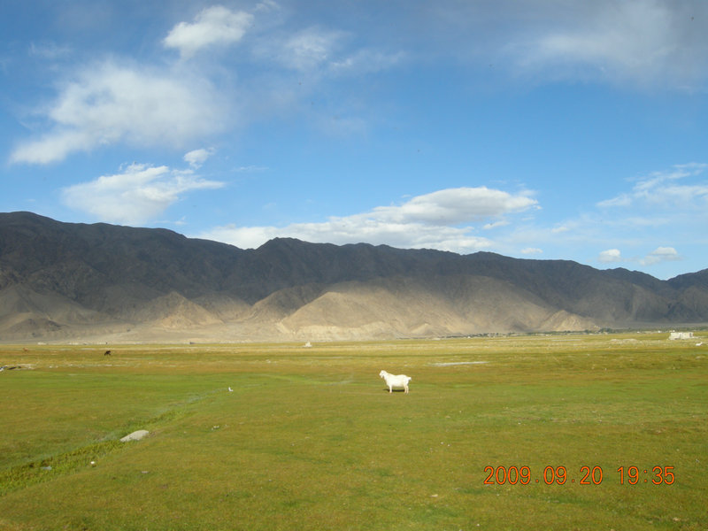dscn4237.jpg