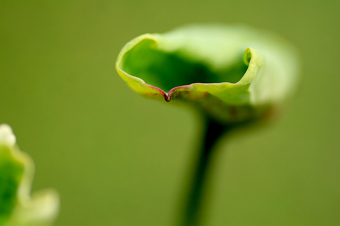 20100707_7902.jpg