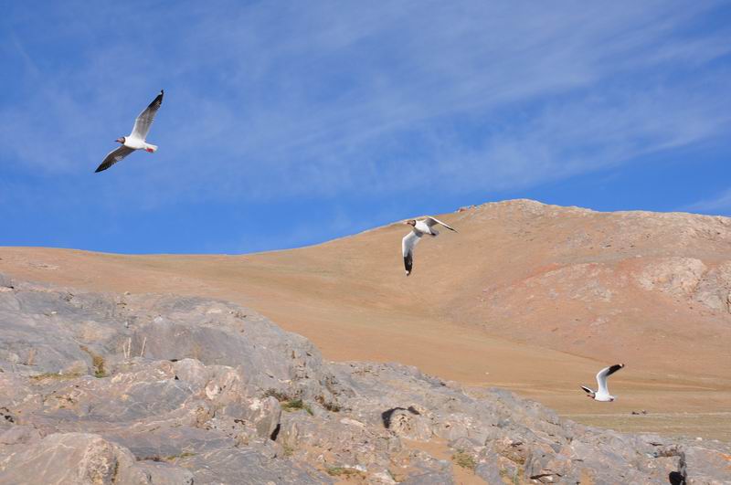 С dsc_0432.jpg