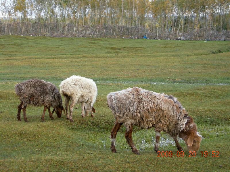 dscn4253.jpg