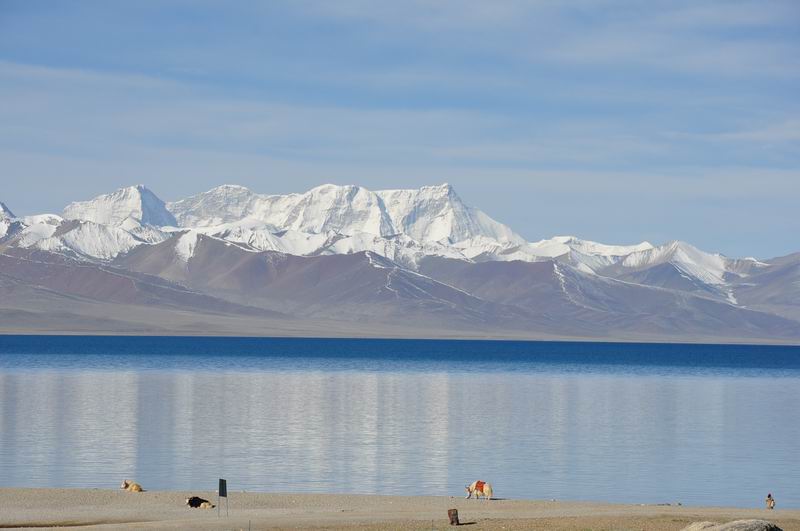 С dsc_0487.jpg