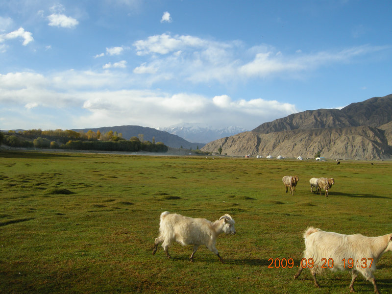 dscn4240.jpg