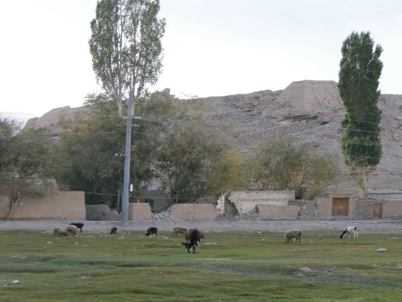 dscn4256.jpg