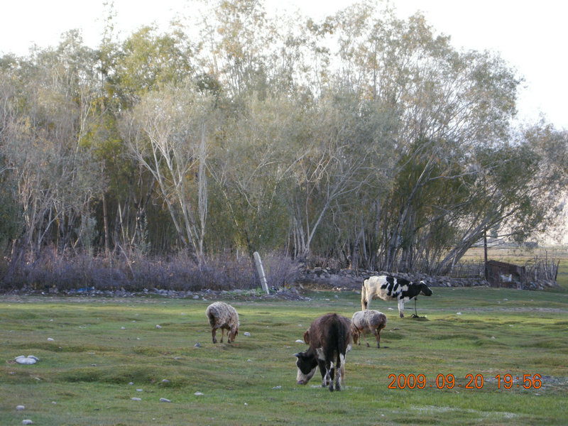 dscn4257.jpg
