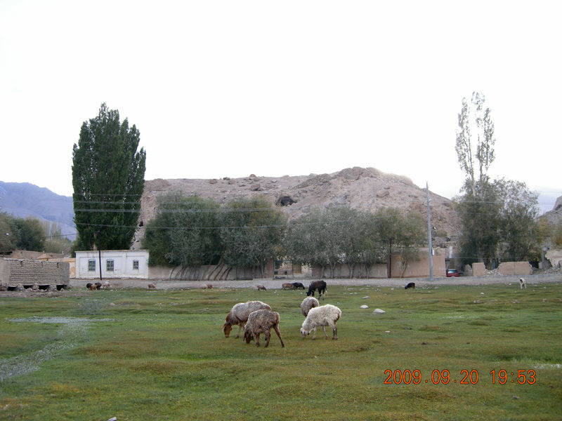 dscn4254.jpg