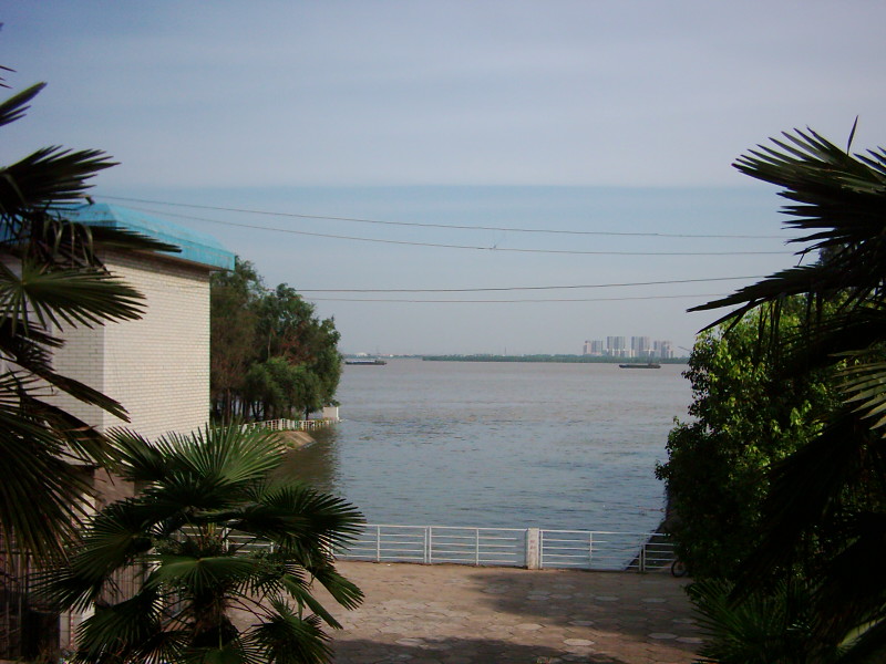 dsci0003.jpg