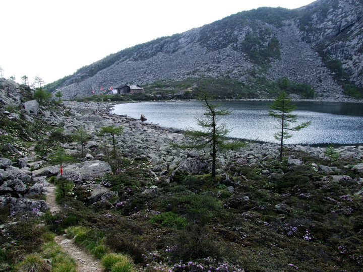 dscf7462.jpg