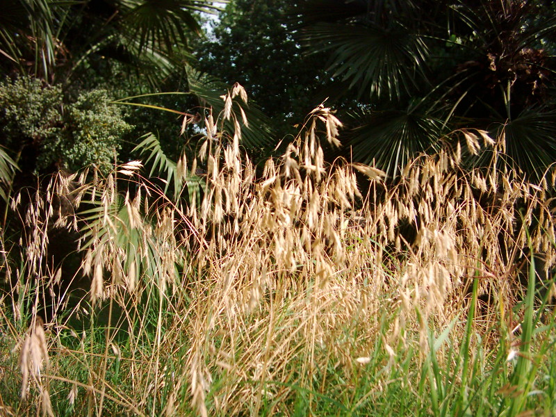 dsci0012.jpg