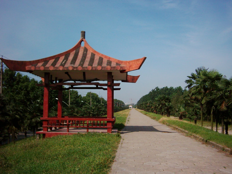 dsci0011.jpg
