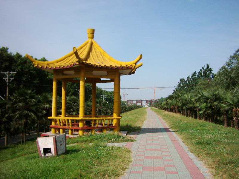dsci0018.jpg