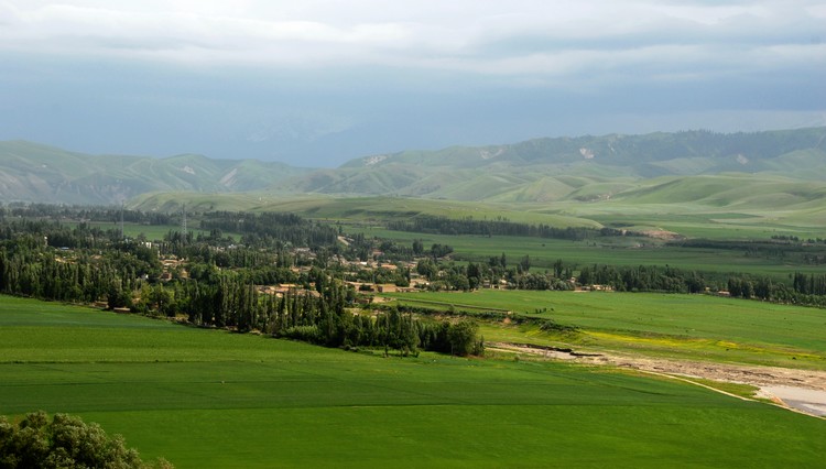 dsc_0214.jpg