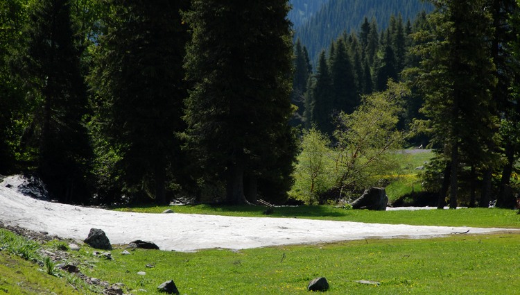 dsc_0634.jpg