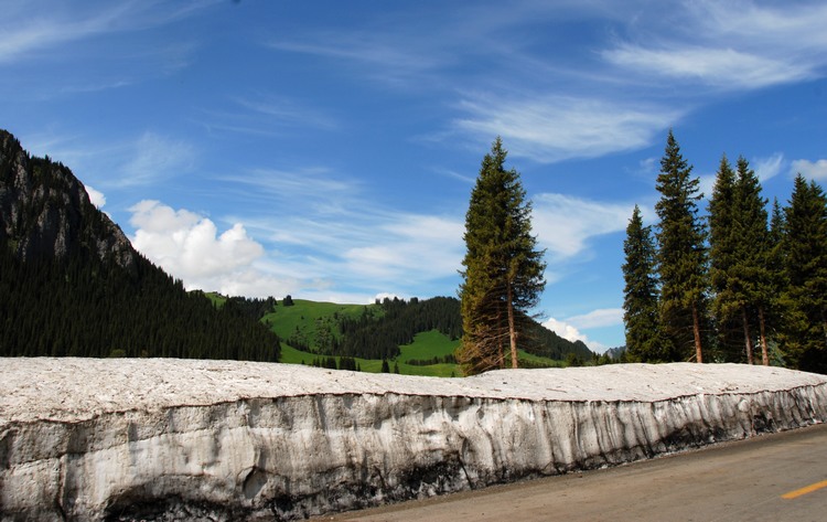 dsc_0636.jpg