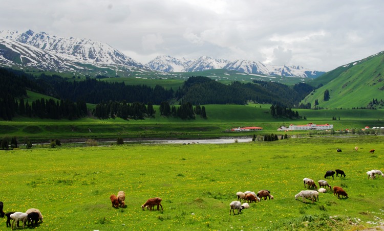 dsc_0714.jpg