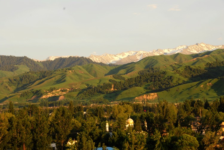 dsc_0758.jpg