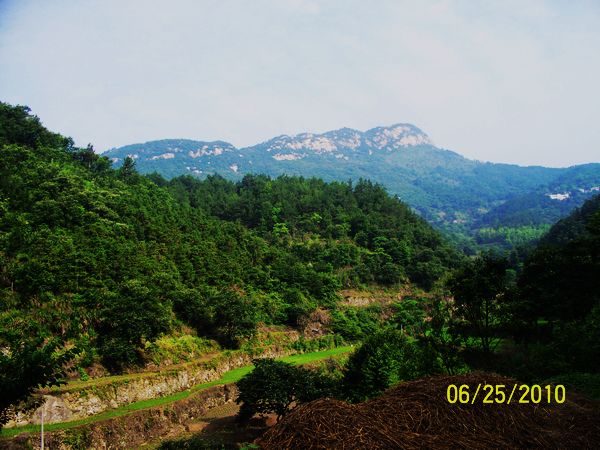 100_6959.jpg