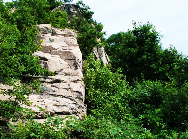 100_6961.jpg