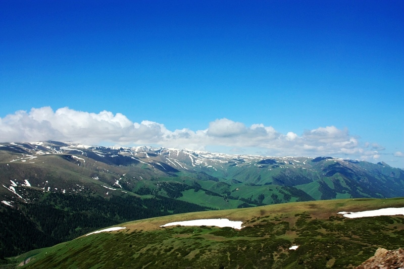 2imga_6659.jpg
